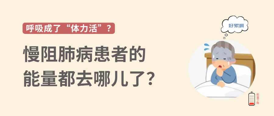 &#77;&#75;&#115;&#112;&#111;&#114;&#116;&#115;&#40;&#20013;&#22269;&#41;&#23448;&#26041;&#32593;&#31449;